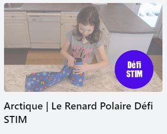 defi STIM renard polaire_icone