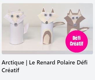 defi creatif renard polaire_icone