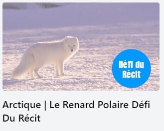 defi du recit renard polaire_icone