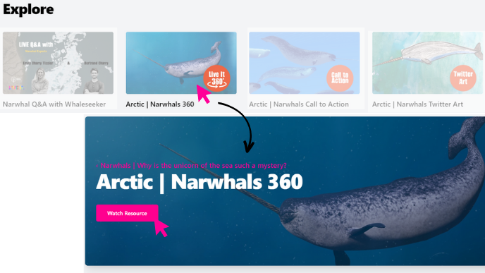 narwhal 1 (2)